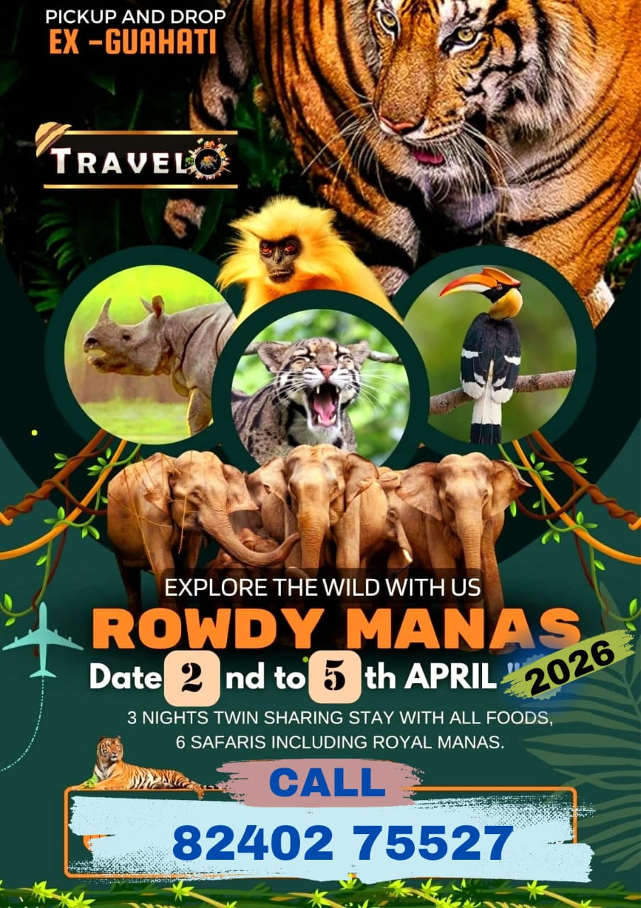 Wildlife Photography