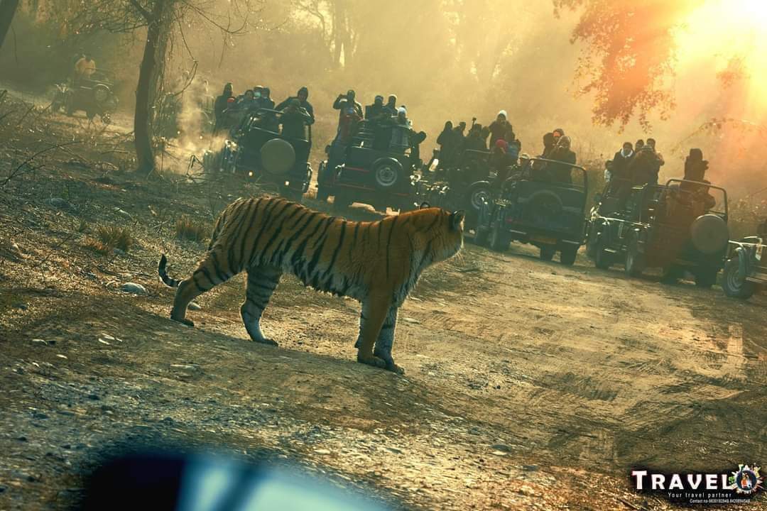 Jim Corbett National Park