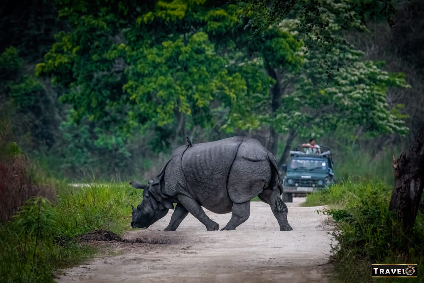 Kaziranga National Park