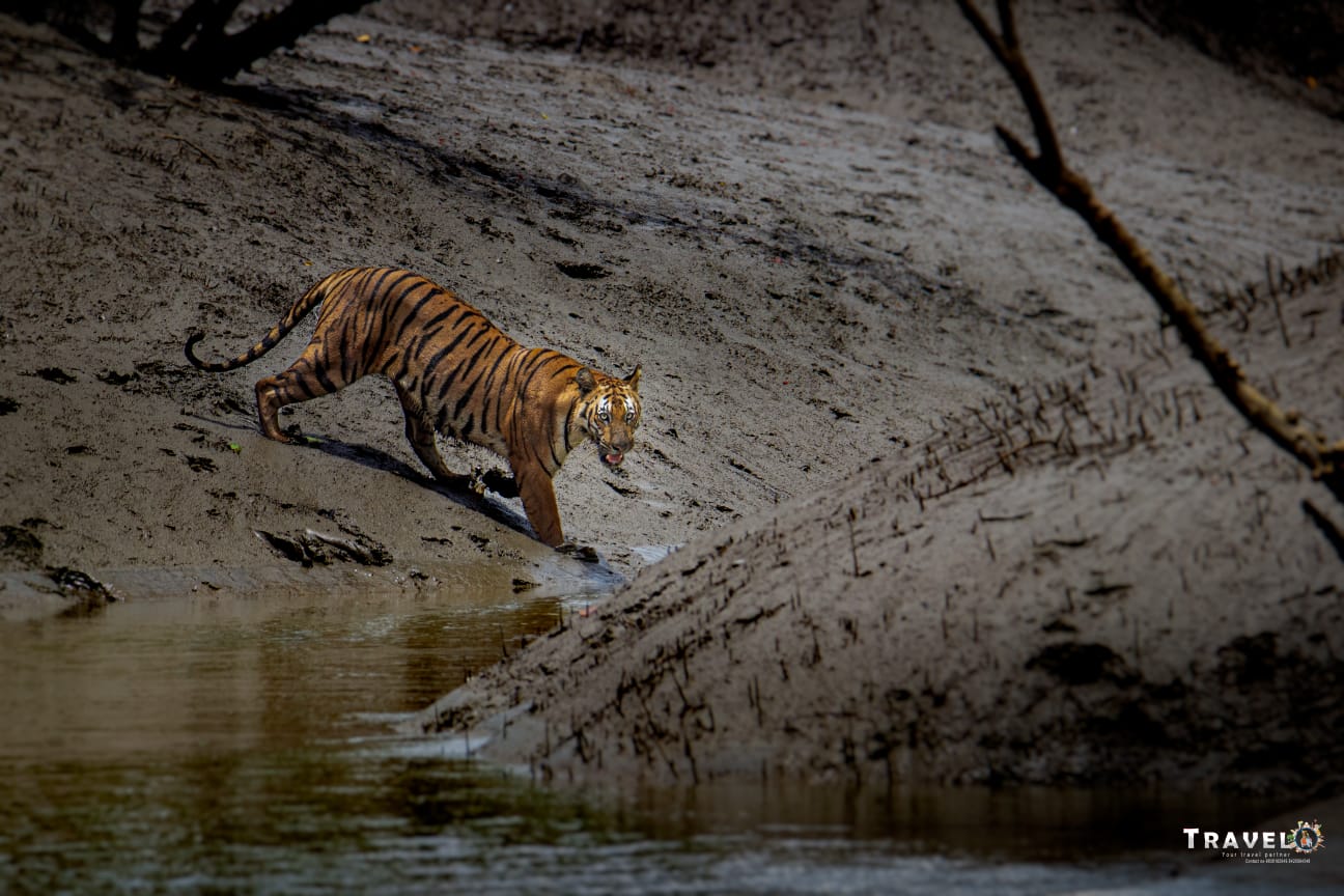 Sundarban Biosphere Reserves